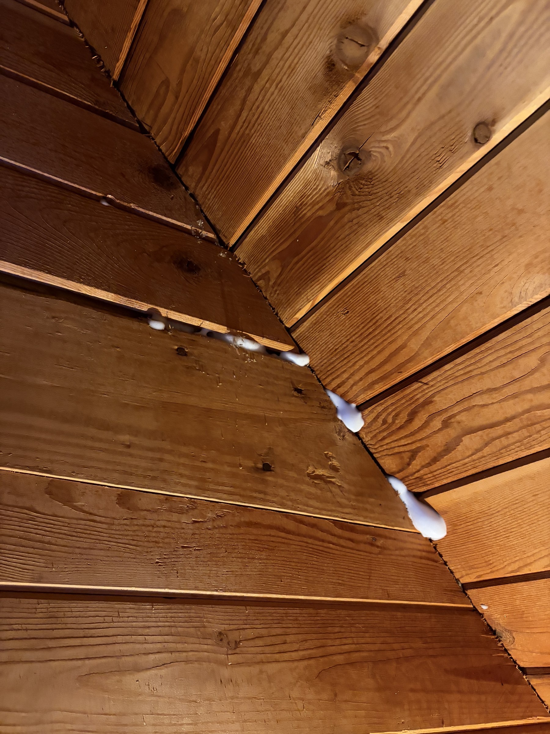 Targeted treatment of an accessible wood void after carpenter ant evidence was documented